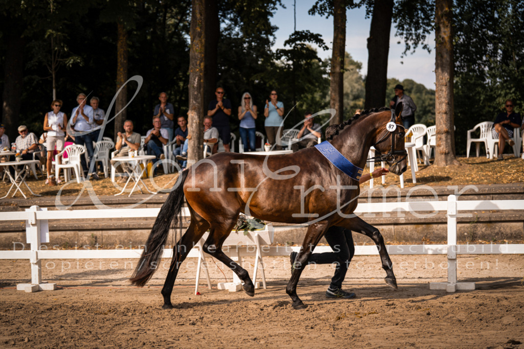 FrER00244 | Leoni Ertmer Photography - Realisiert mit Pictrs.com