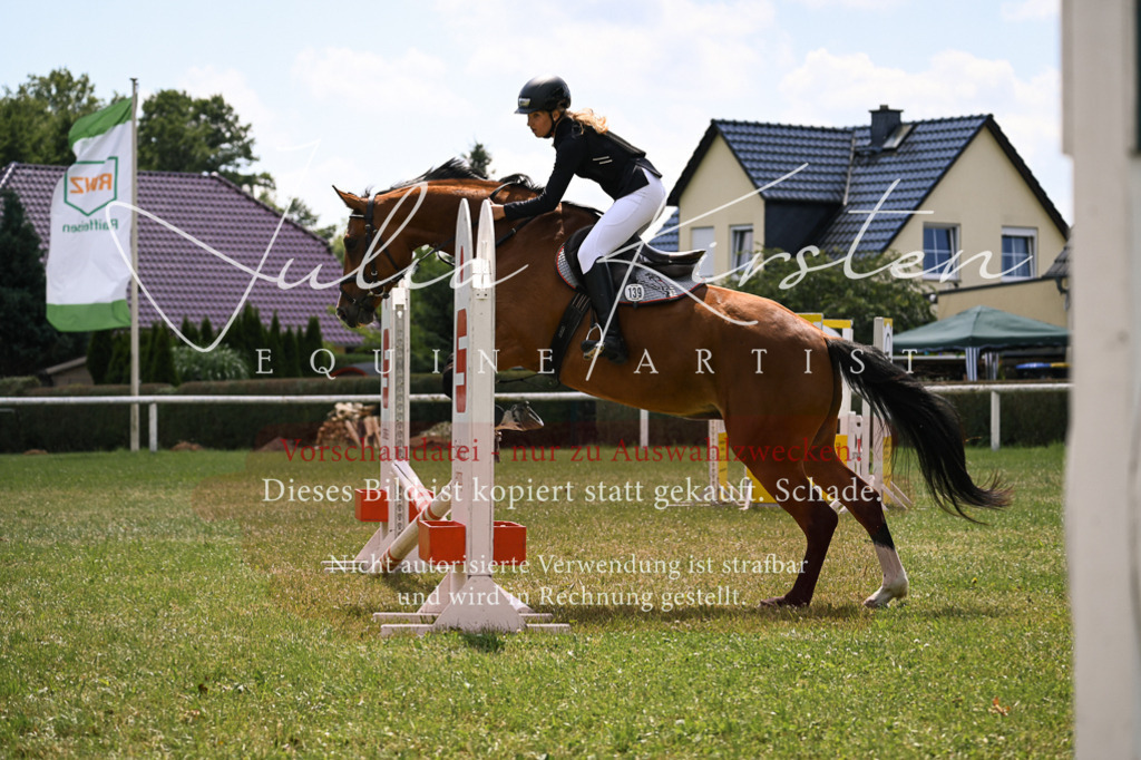 DSC_9277 | Pferde- und Turnierfotografie in Westsachsen. Pferdeportraits, Auftragszeichnungen und intuitive Kunst.