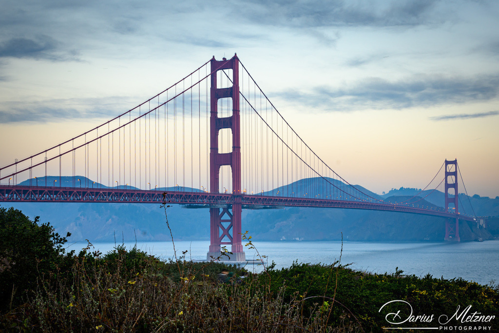 DSC_8425 | Fotografien, Fotos und Bilder aus Mainz, Frankfurt, Wiesbaden und anderen Orten auf der Welt - Fotografiert von Darius Metzner