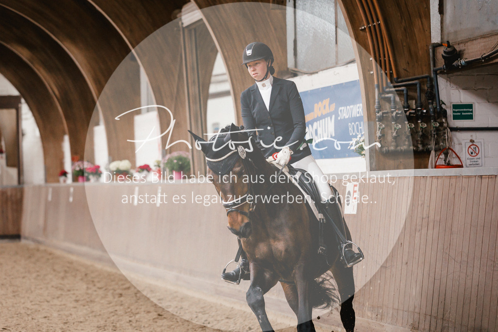 3I6A7007 | Stimmungsvolle Portraits und Reitsportfotografie im Ruhrgebiet und im Münsterland.

Pferdefotografie, Hundefotografie, Tierfotografie, Reportagen, Portraits von Tier und Mensch, Turnierfotografie in Bochum, Recklinghausen, Marl, Haltern am See, Dülmen.. - Realisiert mit Pictrs.com