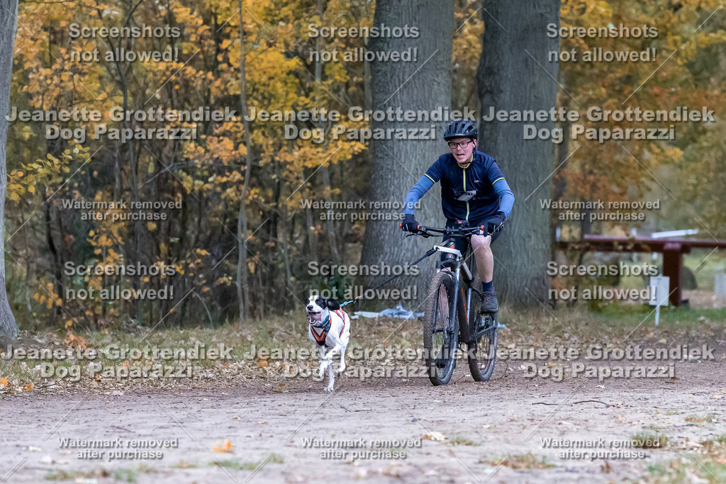 Dog Paparazzi - SD CaniX Championship 2025-236 | Dog Paparazzi Jeanette Grottendiek Fotografie & Videografie - Realisiert mit Pictrs.com