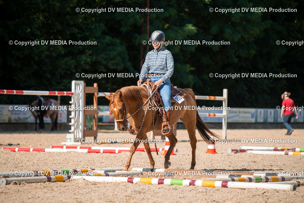 EWP_6967 | dv-media-shop - Realisiert mit Pictrs.com