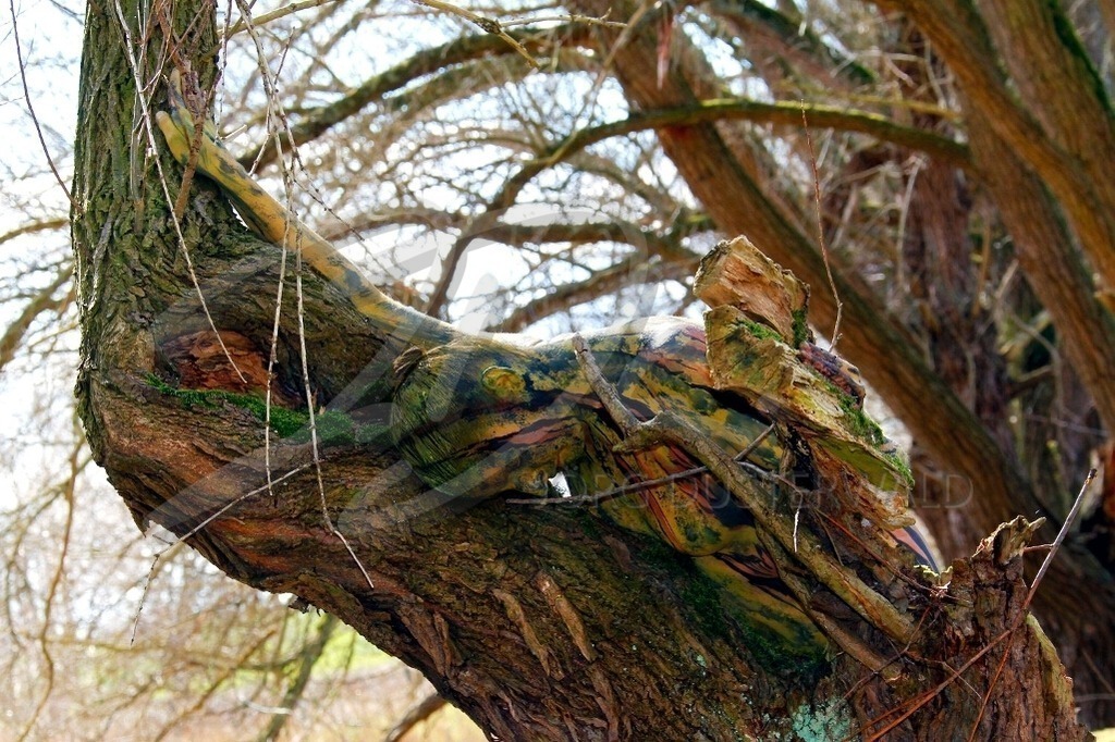 NatureArt-BACHBAUM_7702 | Dem Baumwuchs folgend | #001 | Modell: Svenja | Foto: Tschiponnique Skupin - Realisiert mit Pictrs.com