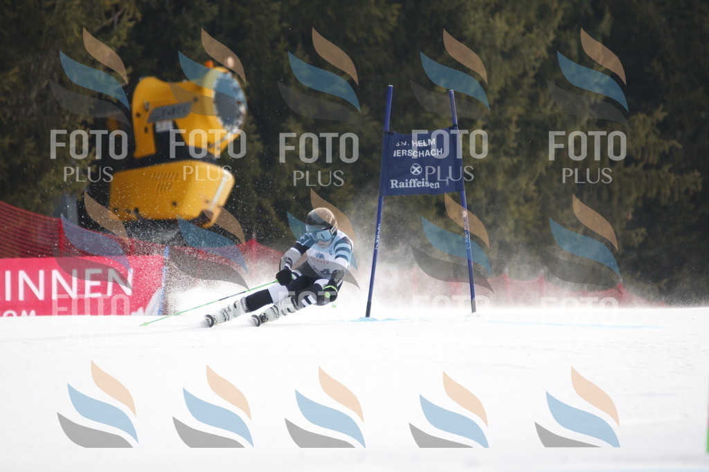 D4773 | holidayphoto