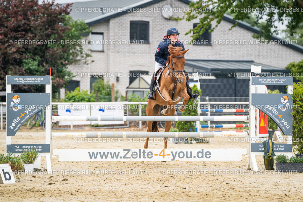 DSC00942 | Pferdegrafie