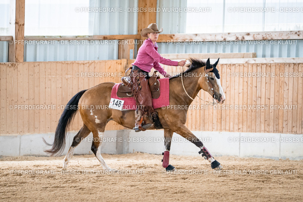 DSC08924 | Pferdegrafie