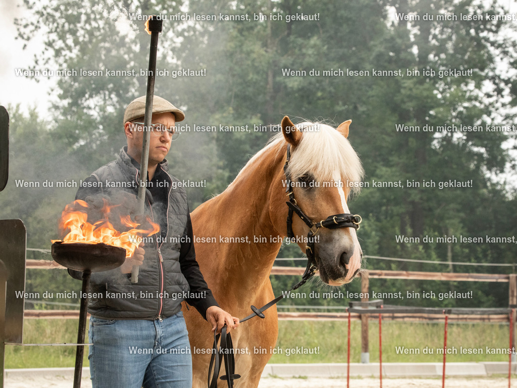 598A8018 | photographylinaismer - Realisiert mit Pictrs.com