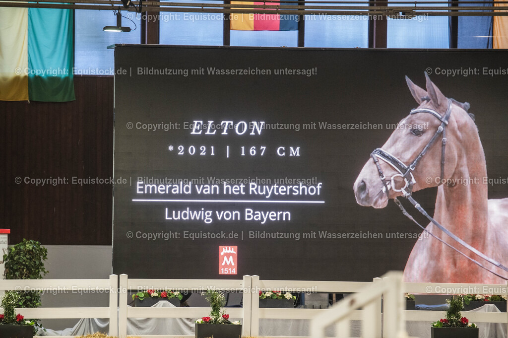 20240302_Hengstvorstellung_Marbach_TOMsPiC_0244-2 | equistock