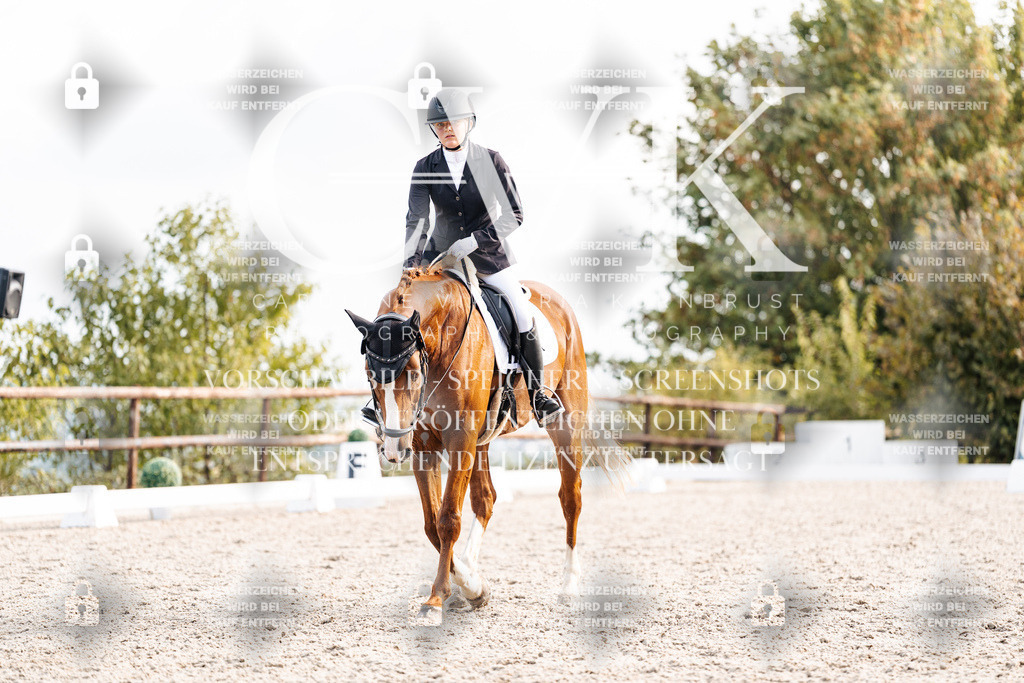 CK901388 | Turnierfotografie Pferdefotografie Trier Rheinland-Pfalz Pferdesport Reitsport Tierfotografie Sportfotografie Pferdevideo Pferdevideografie Equestrianvideography equestrianphotography  - Realisiert mit Pictrs.com