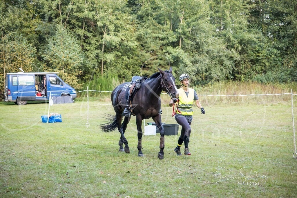 DdLH-NU_2025-09-20_30 | Stimmungsvolle Fotografie von Pferden, fotografische Begleitung von Veranstaltungen, Golfturnieren und Distanzritten - Realisiert mit Pictrs.com