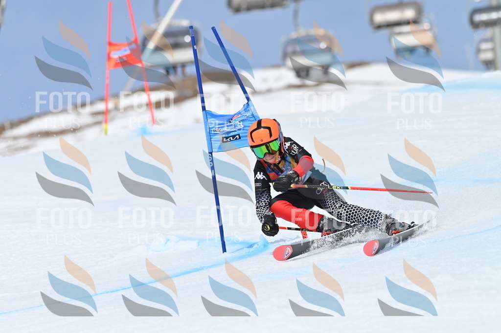 BGV_2886 | holidayphoto