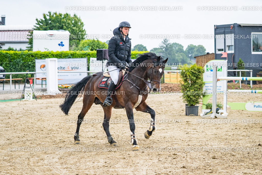 DSC09634 | Pferdegrafie