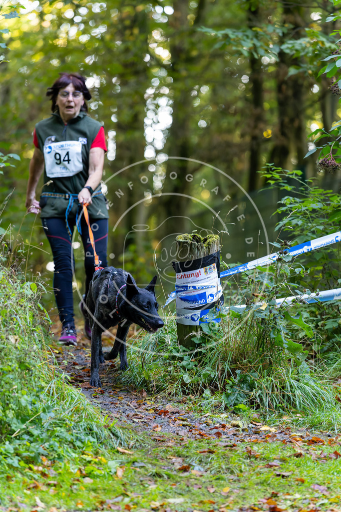 Pfotenfotografie_DV3A7775 | Hundefotografie, Tierfotograf, Pfotenfotografie, Fotoshooting Hund, Hunde Portrait, Hundesport, Hundeportraits, Heideshooting, Hunde, Sportfotograf, Hundefotograf, Turnierhundsport, THS,  - Realisiert mit Pictrs.com