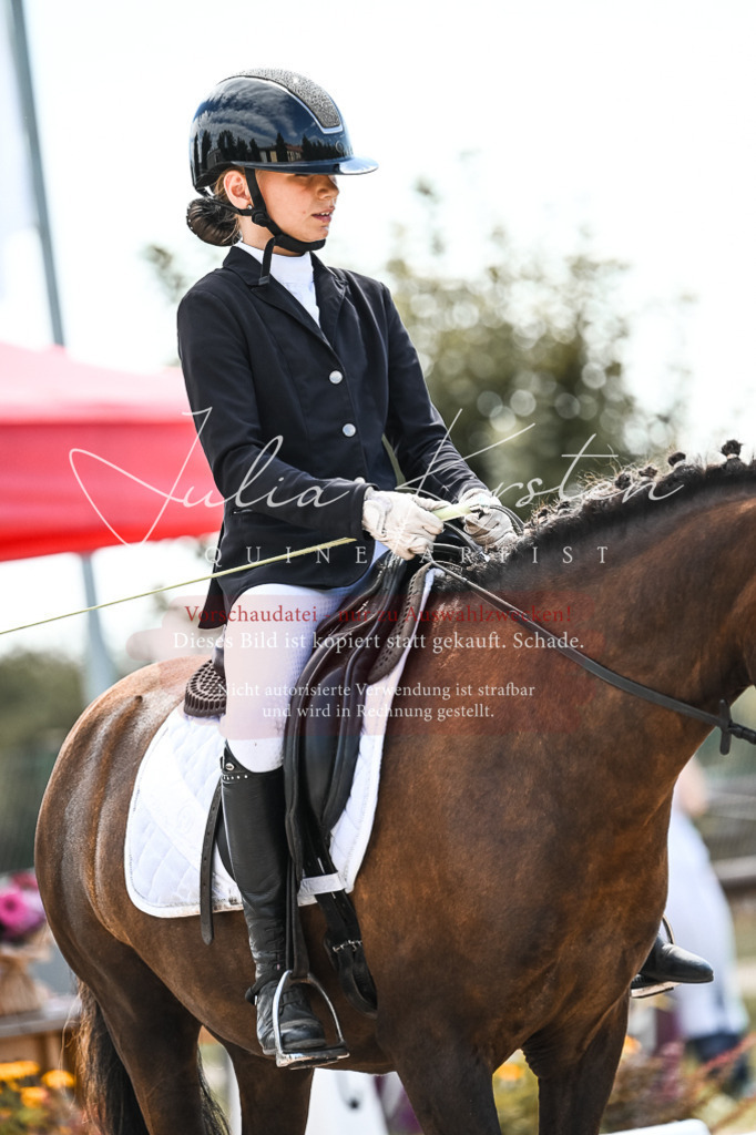 DSC_5709 | Pferde- und Turnierfotografie in Westsachsen. Pferdeportraits, Auftragszeichnungen und intuitive Kunst.
