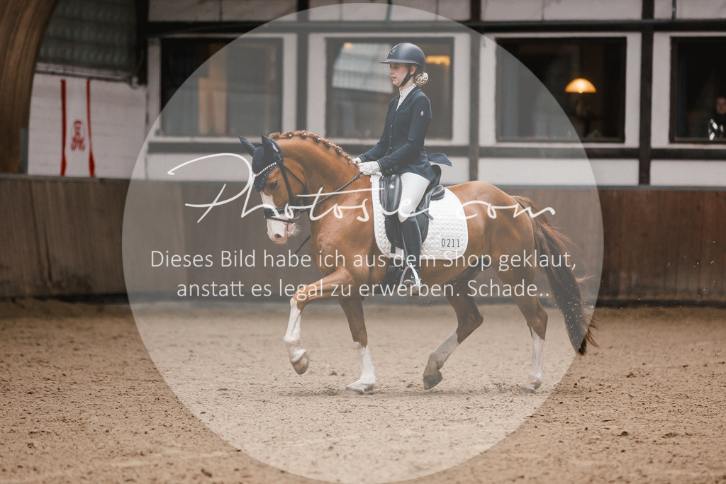 3I6A7176 | Stimmungsvolle Portraits und Reitsportfotografie im Ruhrgebiet und im Münsterland.

Pferdefotografie, Hundefotografie, Tierfotografie, Reportagen, Portraits von Tier und Mensch, Turnierfotografie in Bochum, Recklinghausen, Marl, Haltern am See, Dülmen.. - Realisiert mit Pictrs.com