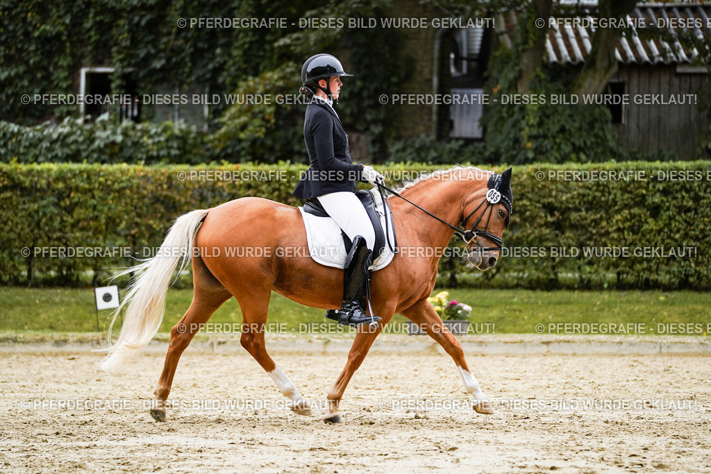 DSC08703 | Pferdegrafie