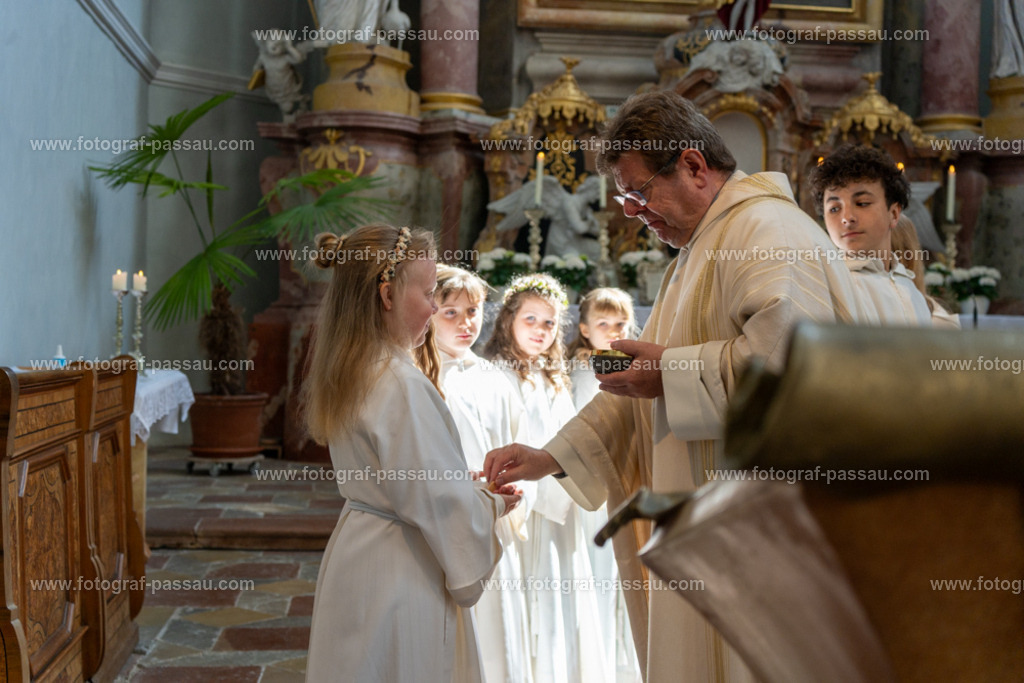 A7V02816 | Hier finden Sie die Online Foto-Galerie von fotograf-passau.com und marius-handrugan.de. Suchen Sie sich direkt Ihre Lieblingsbilder aus, ob als Ausdruck oder Download. - Realisiert mit Pictrs.com