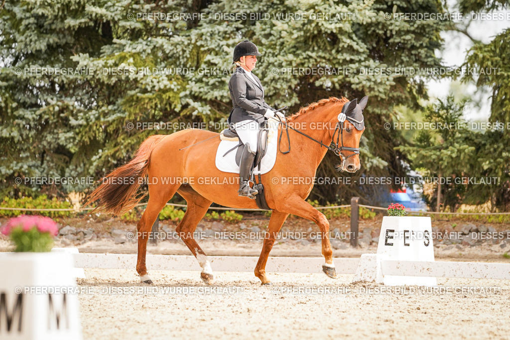 DSC01855 | Pferdegrafie