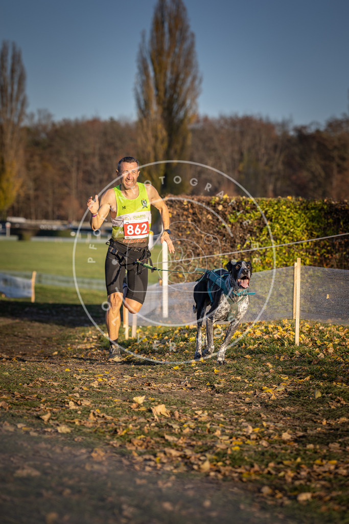 CaniXpix_DV3A4065 | Hundefotografie, Tierfotograf, Pfotenfotografie, Fotoshooting Hund, Hunde Portrait, Hundesport, Hundeportraits, Heideshooting, Hunde, Sportfotograf, Hundefotograf, Turnierhundsport, THS,  - Realisiert mit Pictrs.com