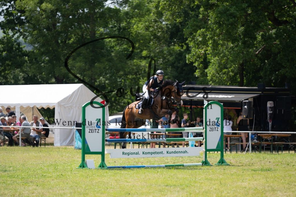 A7V07409 | Pferdefotograf