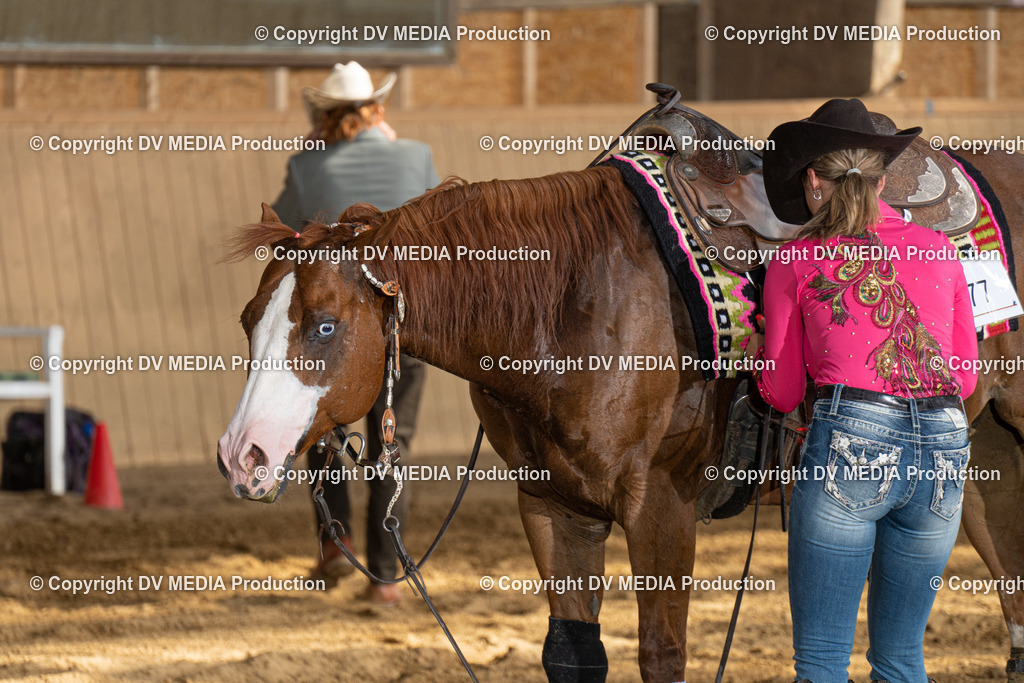 DSC00433 | dv-media-shop - Realisiert mit Pictrs.com