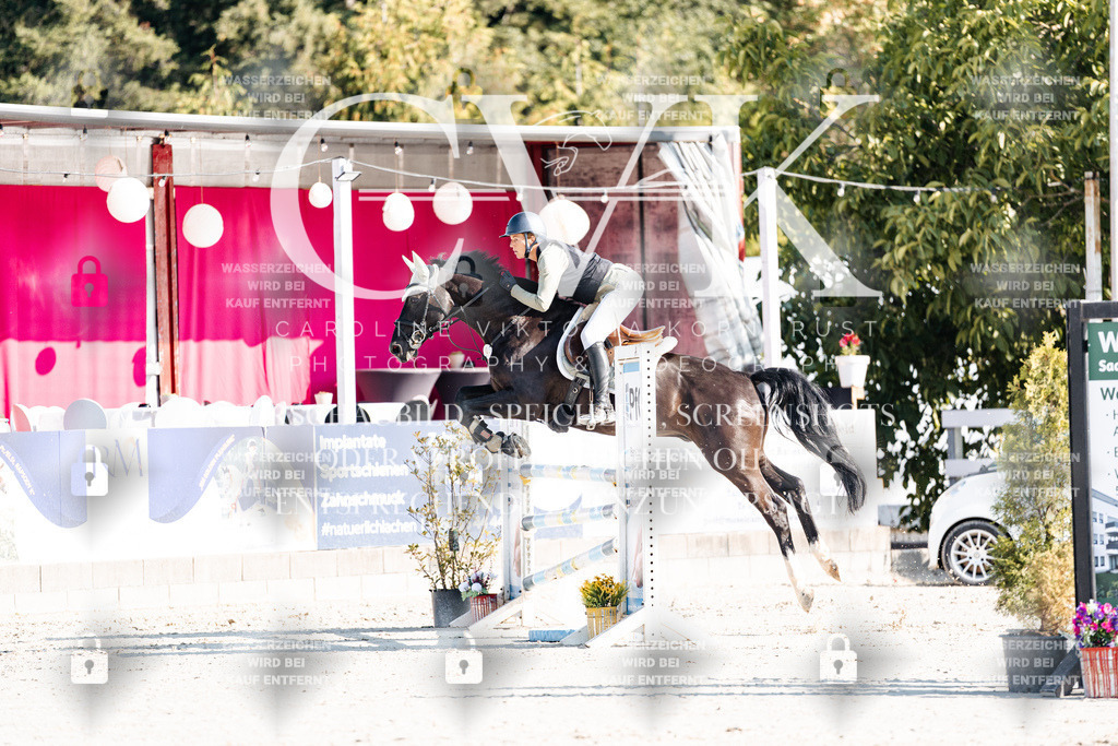 CK901638 | Turnierfotografie Pferdefotografie Trier Rheinland-Pfalz Pferdesport Reitsport Tierfotografie Sportfotografie Pferdevideo Pferdevideografie Equestrianvideography equestrianphotography  - Realisiert mit Pictrs.com