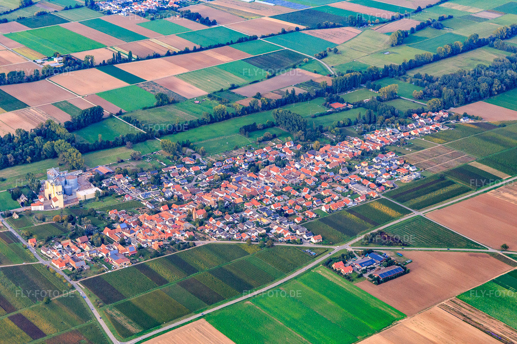 Luftbild: Ortsansicht von Südwesten in Freimersheim im Bundesland Rheinland-Pfalz in Deutschland. Foto: IMG_103846.jpg vom 01.10.2017 durch Werner Riehm/FLY-FOTO.de