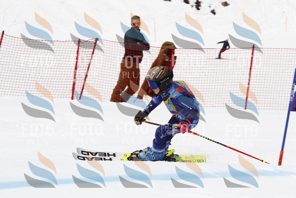 _U3G7076 | holidayphoto