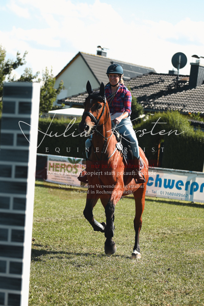 DSC_7725 | Pferde- und Turnierfotografie in Westsachsen. Pferdeportraits, Auftragszeichnungen und intuitive Kunst.