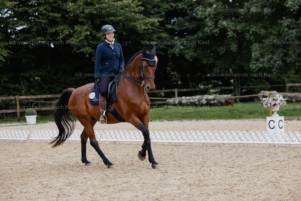 Nadine22_FHC2025-38 | working equitationturnier fotograf videograf stoibphotography marixx film working equitation deutschland reitsport turnierfotografie eventfotografie equestrian events
