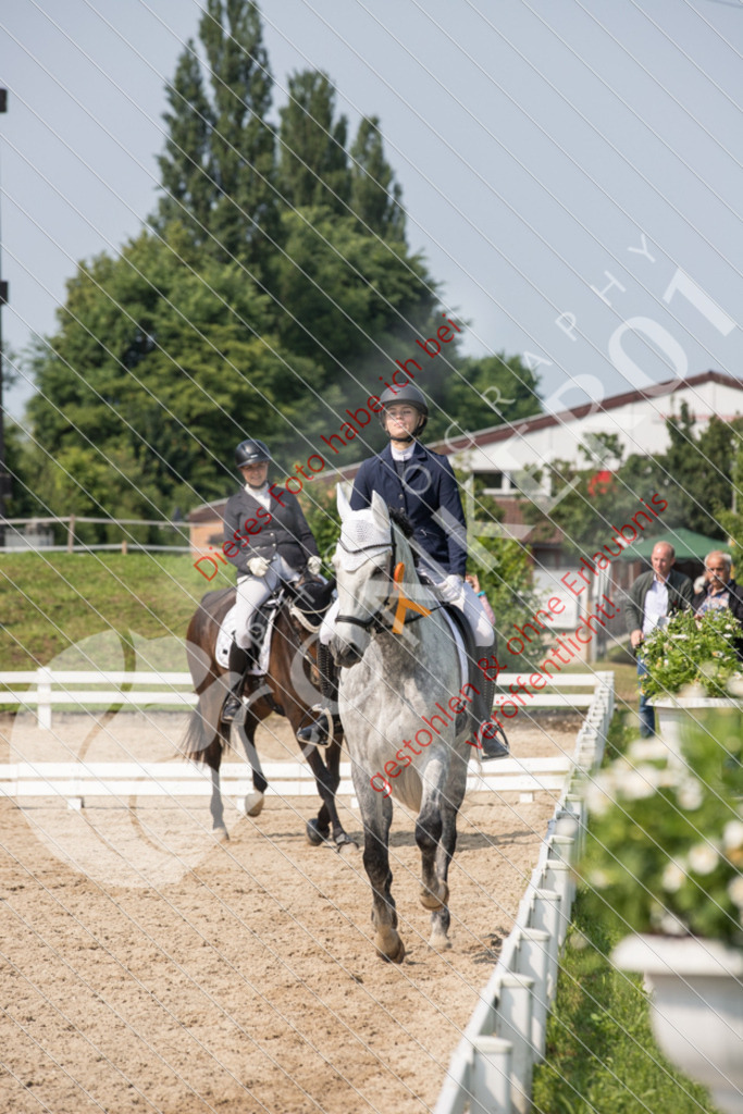 IMG_2958 | Sport-, Event- und Tierfotos in Profiqualität. Einfach auswählen, bestellen und herunterladen. Dein Moment – perfekt festgehalten.