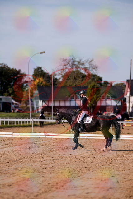 2026_10_03_Siefer-Hof_115444_Z81_94541596 | Professionelle Reitsport-, Turnier- und Eventfotografie von Robert Broda. Galerien mit ausgewählten und bearbeiteten Bildern direkt online ansehen und bestellen.