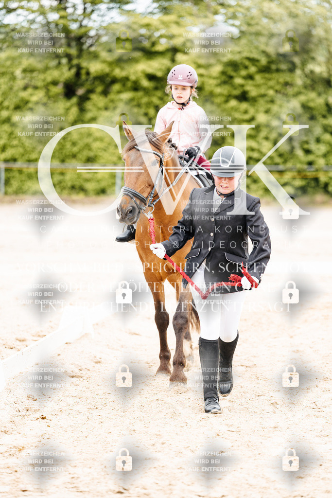 CK903703 | Turnierfotografie Pferdefotografie Trier Rheinland-Pfalz Pferdesport Reitsport Tierfotografie Sportfotografie Pferdevideo Pferdevideografie Equestrianvideography equestrianphotography  - Realisiert mit Pictrs.com