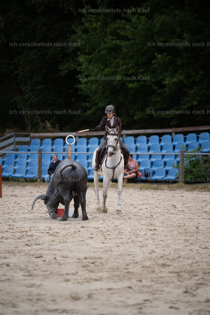 WL_ST_69_stoibphotography__SO10814 | working equitationturnier fotograf videograf stoibphotography marixx film working equitation deutschland reitsport turnierfotografie eventfotografie equestrian events