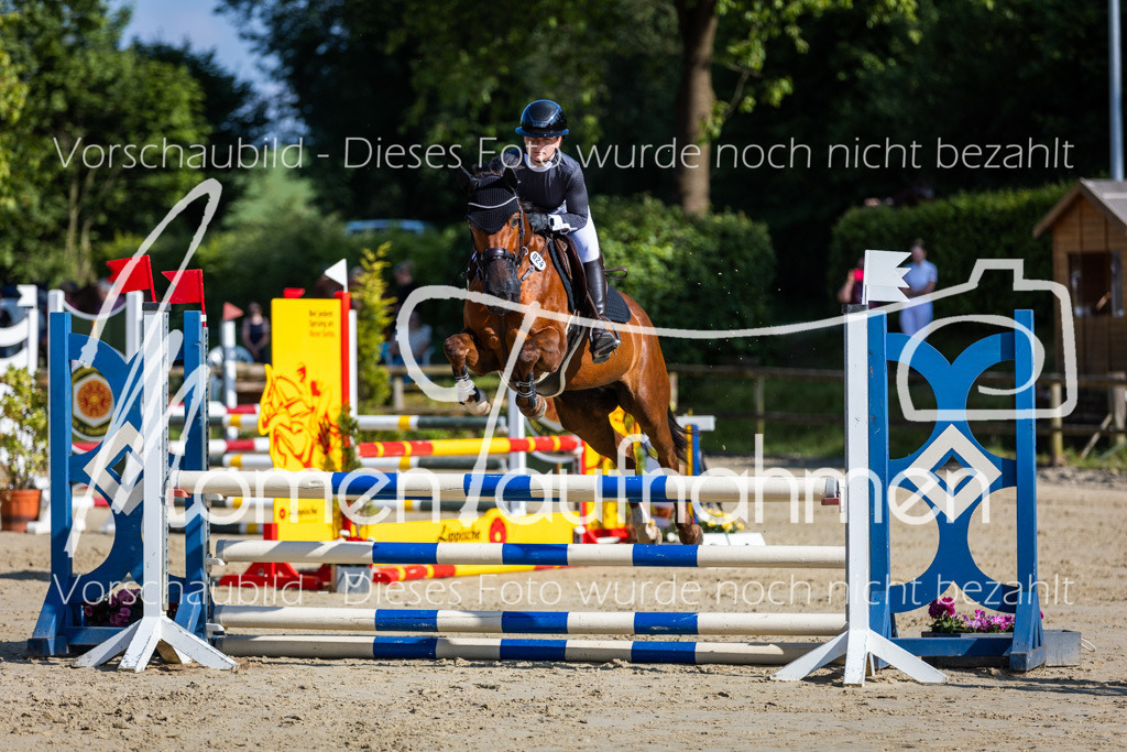 Donop24-ASpr-061 | MomenTaufnahmen Pferdesportfotos