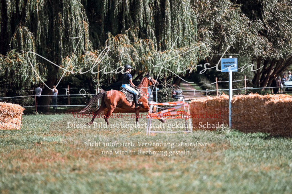 DSC_0965 | Pferde- und Turnierfotografie in Westsachsen. Pferdeportraits, Auftragszeichnungen und intuitive Kunst.