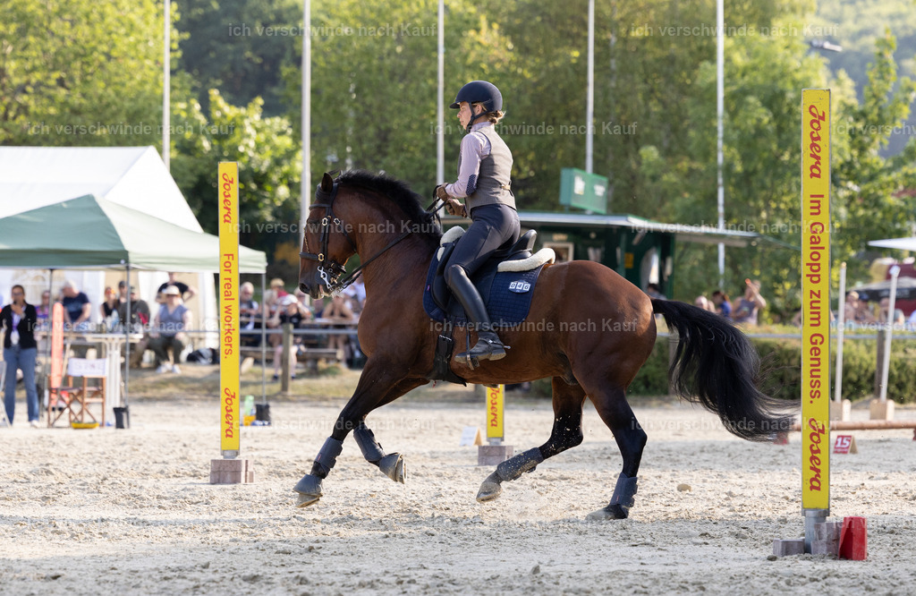 WS_SPEED_46_KerstinBernhardt | working equitationturnier fotograf videograf stoibphotography marixx film working equitation deutschland reitsport turnierfotografie eventfotografie equestrian events