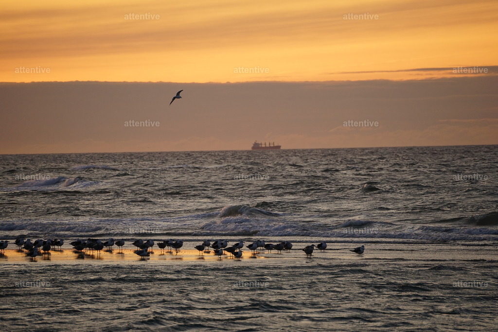 Sunset Südstrand | Dänemark, Skagen - Realisiert mit Pictrs.com