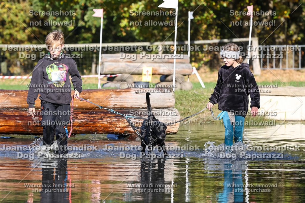 Dog Paparazzi - Strongdog 10-25-8915 | Dog Paparazzi Jeanette Grottendiek Fotografie & Videografie - Realisiert mit Pictrs.com