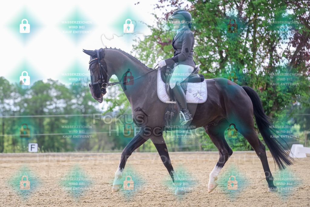 31052026-Forstinning-Prfg10-0158 | Fokus Hufschlag Fotografie - Realisiert mit Pictrs.com