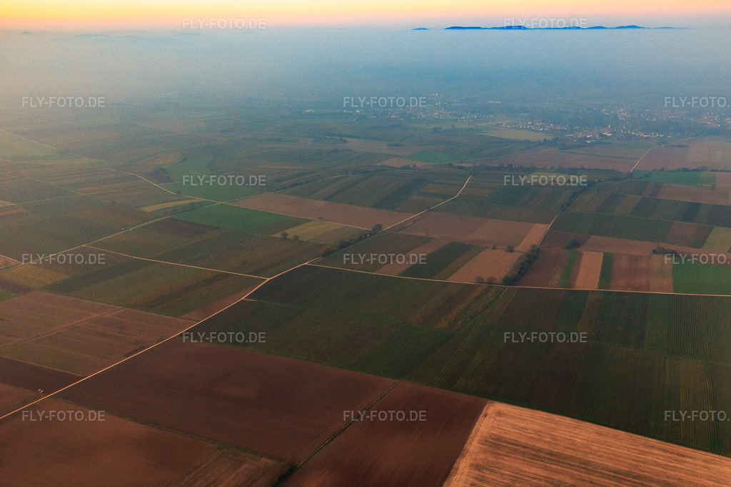 Luftbild: Felder im Novembernebel im Ortsteil Mühlhofen in Billigheim-Ingenheim im Bundesland Rheinland-Pfalz in Deutschland. Foto: IMG_144109.jpg vom 09.11.2024 durch Werner Riehm/FLY-FOTO.de