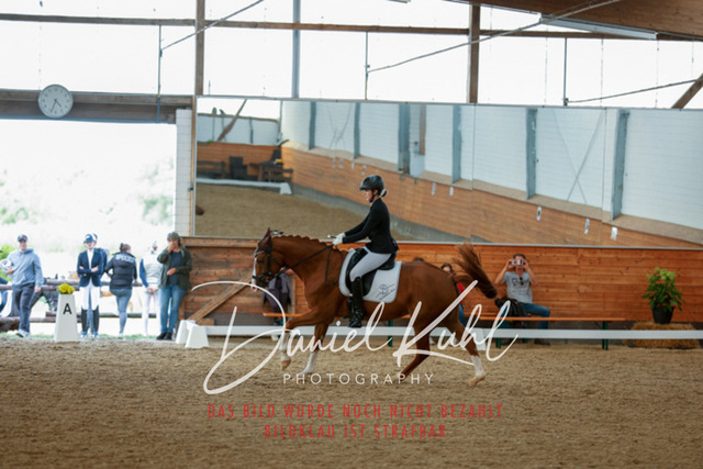 _62_7845 | Turniersportfotografie; Pferdefotografie; Dressurfotografie