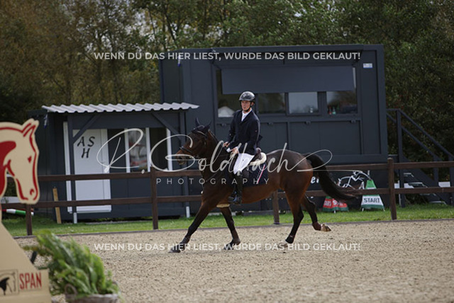 1J2A0882Mathies Rüder_ Kasa Kasa_ Kn574_ Havekost | Foto- und Videografie für alles rund ums Pferd. Hochwertige Bilder und Videos vom Spring- und Dressurreiten, Voltigieren & mehr. Jetzt aktuelle Veranstaltungen und Preise im Shop ansehen. - Realisiert mit Pictrs.com