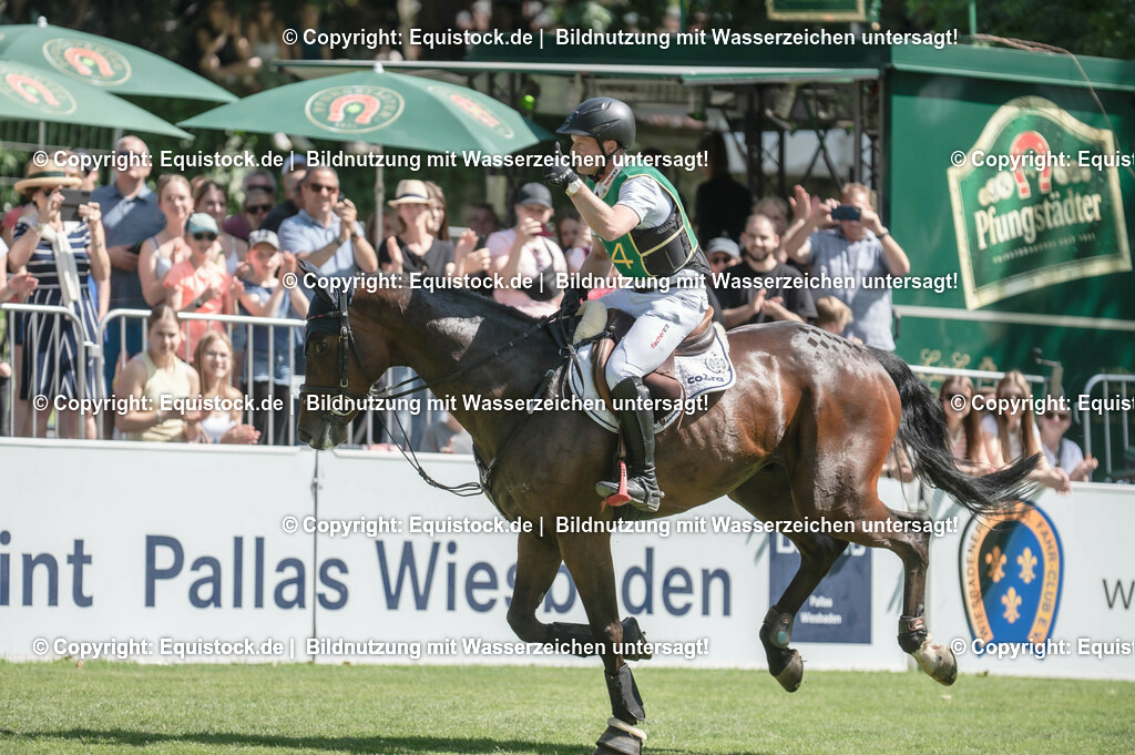 20230527_27_CCI4_Gelände_0423 | equistock