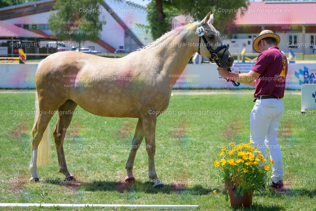 34_Glücksfee_Dating-AT_Kramer_250622_02 | gis-fotografie