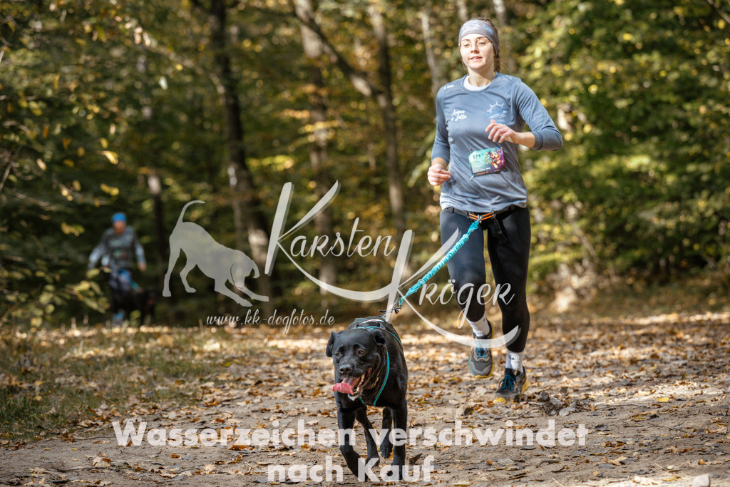 1310_ZZ97497 | kk-dogfotos