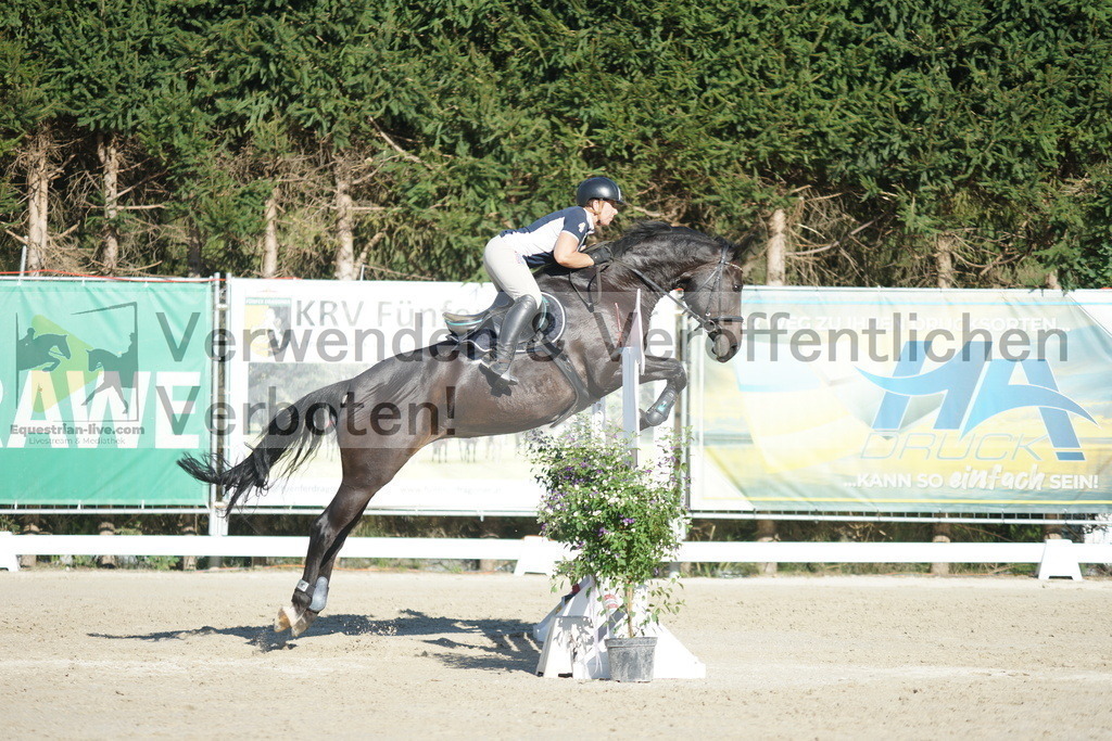 DSC01356 | equestrian-live-com