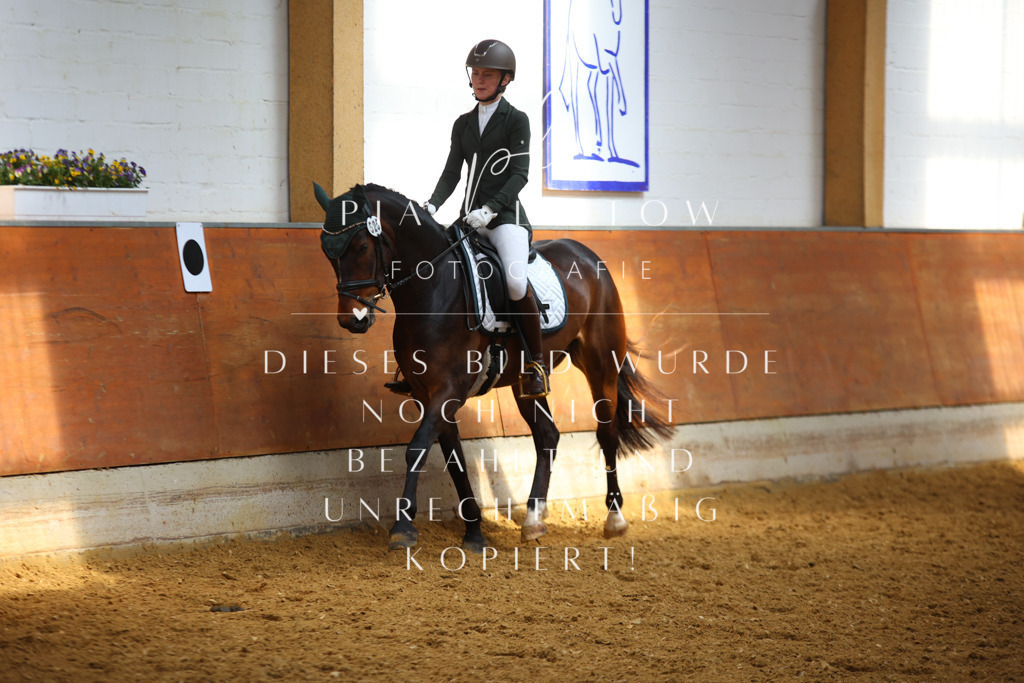 IMGT5231 | pl-fotografie