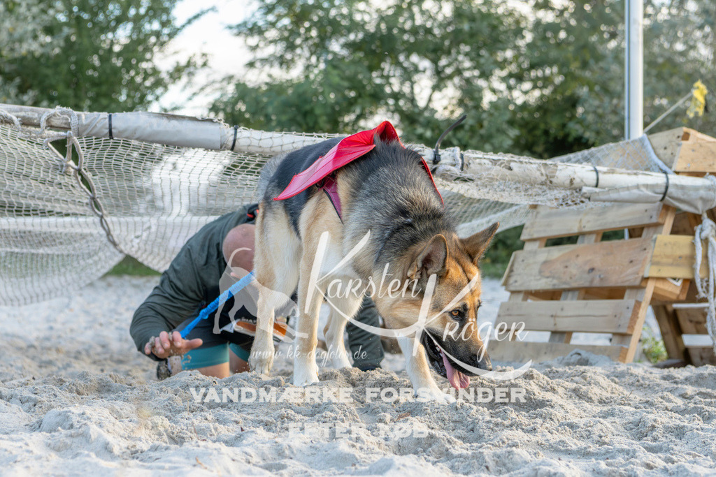 1641_ZZ98448 | kk-dogfotos