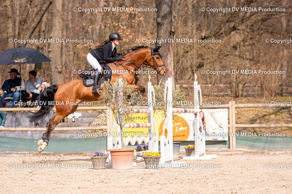 Kranichstein Tag 2-1986 | dv-media-shop - Realisiert mit Pictrs.com